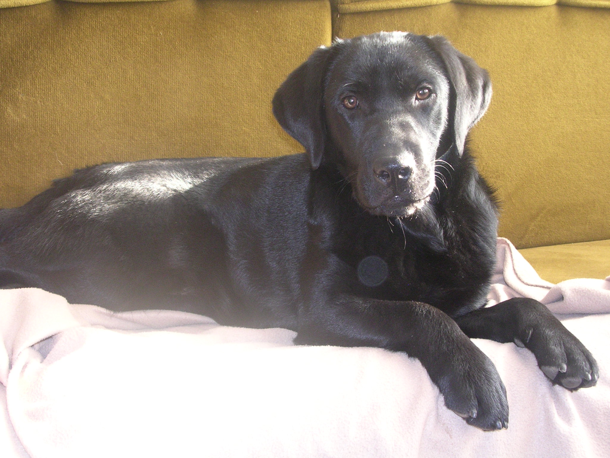 DSCN2880.JPG